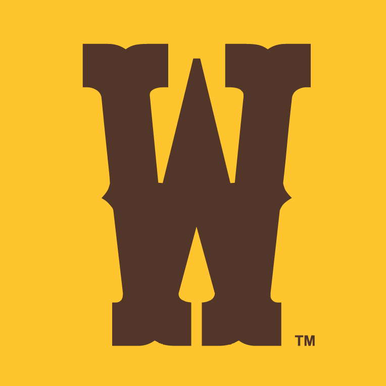 Wyoming Cowboys 2013-Pres Secondary Logo v3 diy iron on heat transfer